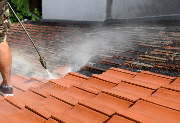 Best Exterior Home Cleaning  in Hollywood, FL